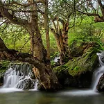 Crowne Plaza Resort Salalah By Ihg